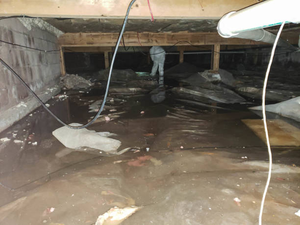 Professional Water damage restoration in Shadow Lake, WA